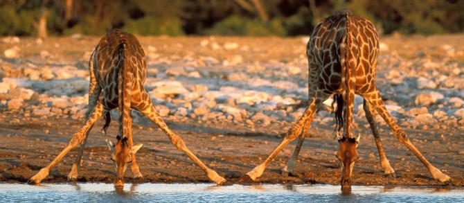 Tourisme Sud Africain